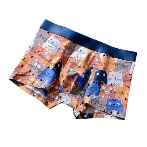 Mens Mixed Boxers